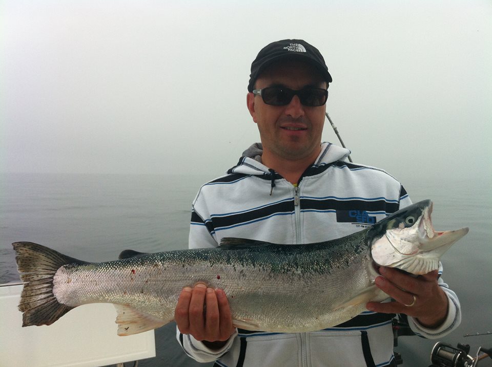 spanishflycharters.com - Truite arc-en-ciel(Steelhead) - Lac Ontario