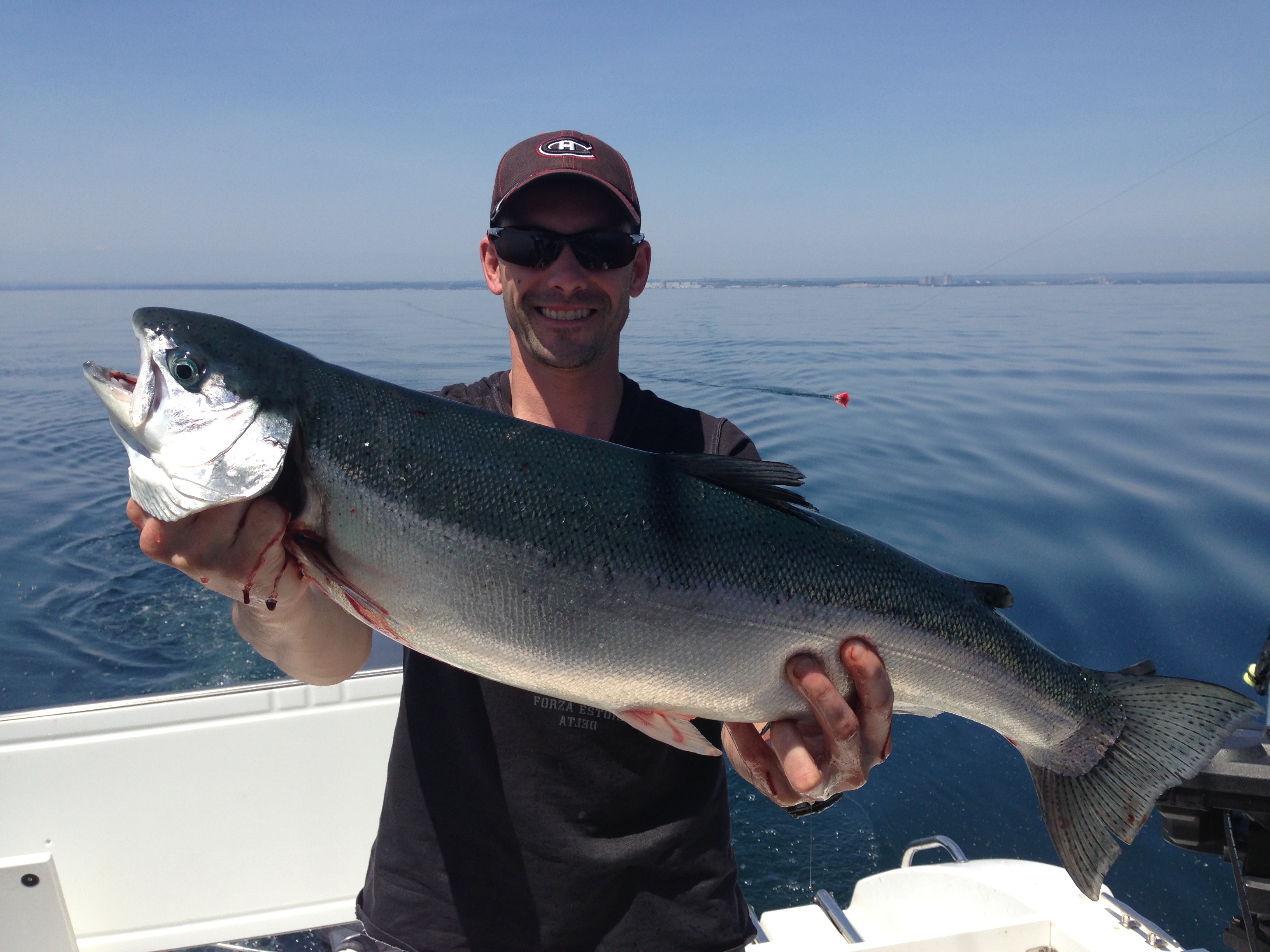 spanishflycharters.com - Truite arc-en-ciel(Steelhead) - Lac Ontario