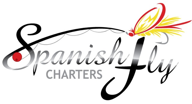 spanishflycharters.com